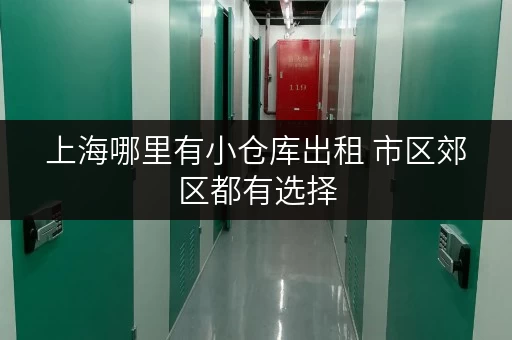 上海哪里有小仓库出租 市区郊区都有选择 上海哪里有小仓库出租 市区郊区都有选择