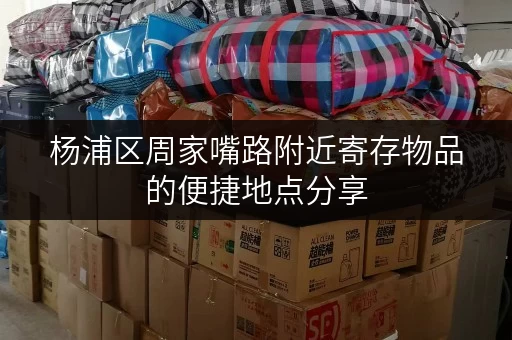杨浦区周家嘴路附近寄存物品的便捷地点分享