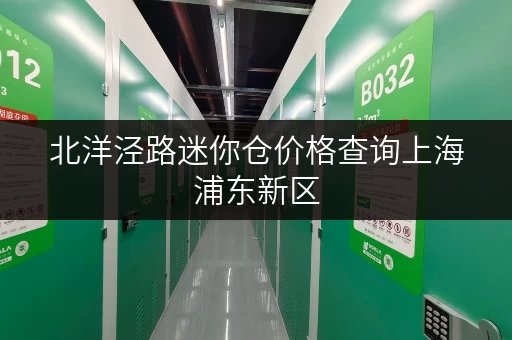 北洋泾路迷你仓价格查询上海浦东新区