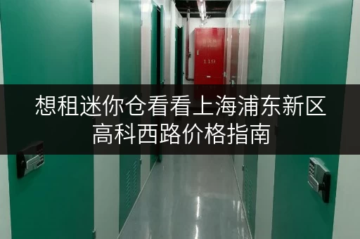 想租迷你仓看看上海浦东新区高科西路价格指南