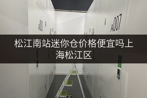 松江南站迷你仓价格便宜吗上海松江区