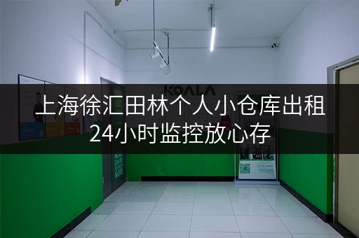 上海徐汇田林个人小仓库出租24小时监控放心存 上海徐汇田林个人小仓库出租24小时监控放心存