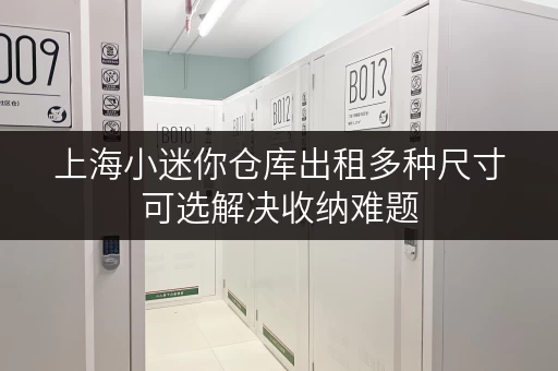 上海小迷你仓库出租多种尺寸可选解决收纳难题