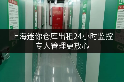 上海迷你仓库出租24小时监控专人管理更放心 上海迷你仓库出租24小时监控专人管理更放心