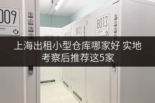 上海出租小型仓库哪家好 实地考察后推荐这5家 上海出租小型仓库哪家好 实地考察后推荐这5家