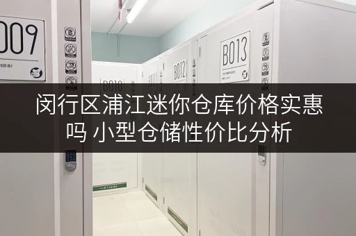 闵行区浦江迷你仓库价格实惠吗 小型仓储性价比分析