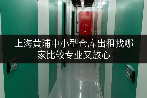 上海黄浦中小型仓库出租找哪家比较专业又放心 上海黄浦中小型仓库出租找哪家比较专业又放心