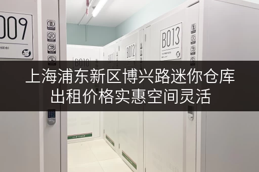 上海浦东新区博兴路迷你仓库出租价格实惠空间灵活