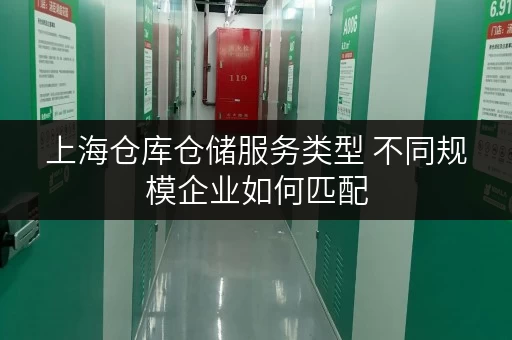 上海仓库仓储服务类型 不同规模企业如何匹配