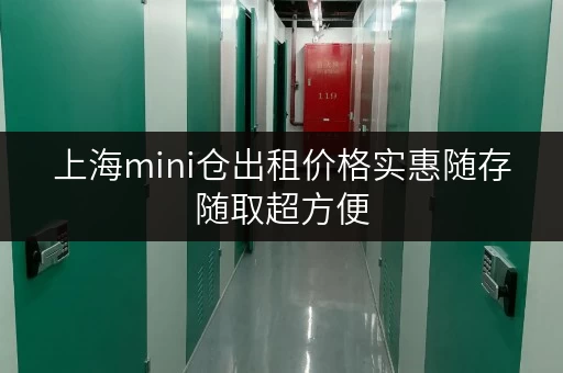 上海mini仓出租价格实惠随存随取超方便