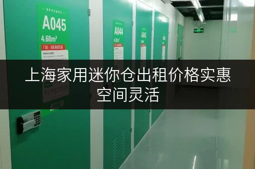 上海家用迷你仓出租价格实惠空间灵活