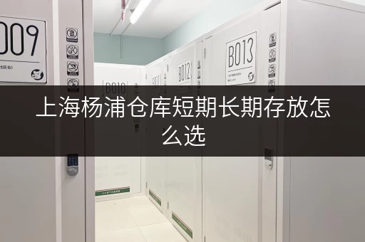 上海杨浦仓库短期长期存放怎么选