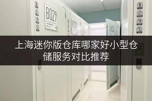 上海迷你版仓库哪家好小型仓储服务对比推荐 上海迷你版仓库哪家好小型仓储服务对比推荐