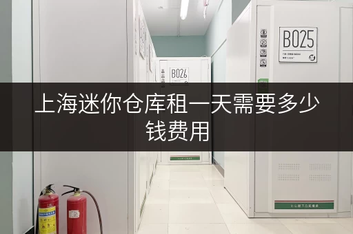 上海迷你仓库租一天需要多少钱费用 上海迷你仓库租一天需要多少钱费用
