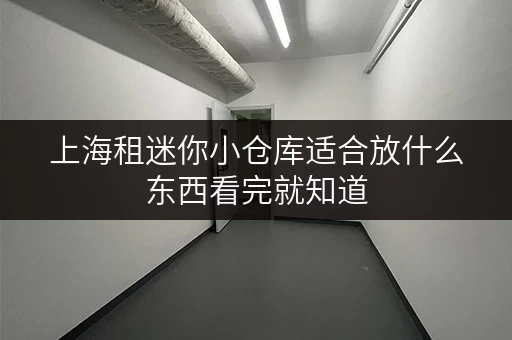 上海租迷你小仓库适合放什么东西看完就知道