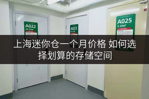 上海迷你仓一个月价格 如何选择划算的存储空间