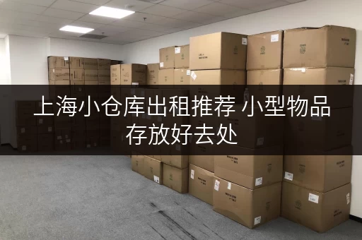 上海小仓库出租推荐 小型物品存放好去处