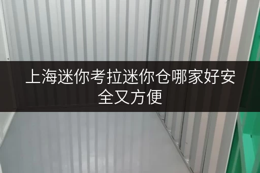 上海迷你考拉迷你仓哪家好安全又方便