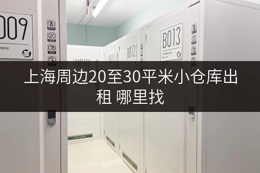 上海周边20至30平米小仓库出租 哪里找