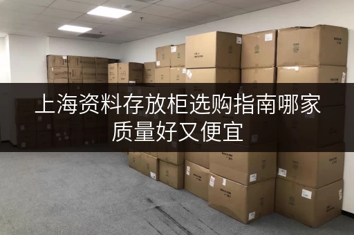 上海资料存放柜选购指南哪家质量好又便宜