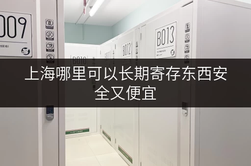 上海哪里可以长期寄存东西安全又便宜