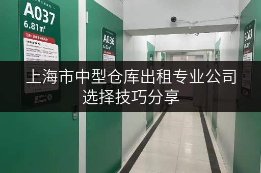 上海市中型仓库出租专业公司选择技巧分享
