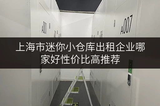 上海市迷你小仓库出租企业哪家好性价比高推荐