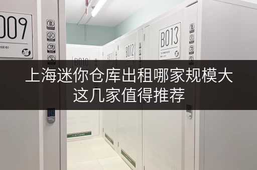 上海迷你仓库出租哪家规模大这几家值得推荐 上海迷你仓库出租哪家规模大这几家值得推荐