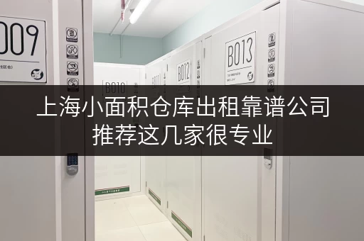 上海小面积仓库出租靠谱公司推荐这几家很专业
