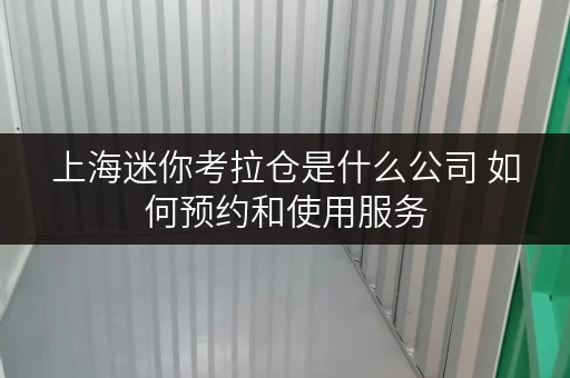 上海迷你考拉仓是什么公司 如何预约和使用服务 上海迷你考拉仓是什么公司 如何预约和使用服务