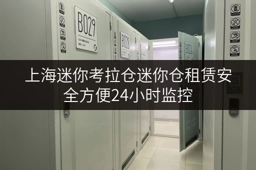 上海迷你考拉仓迷你仓租赁安全方便24小时监控