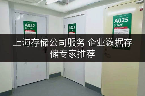 上海存储公司服务 企业数据存储专家推荐 上海存储公司服务 企业数据存储专家推荐