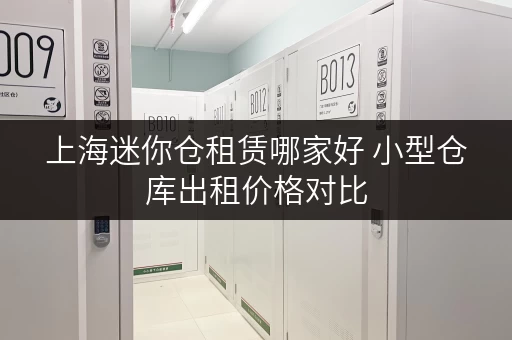 上海迷你仓租赁哪家好 小型仓库出租价格对比 上海迷你仓租赁哪家好 小型仓库出租价格对比