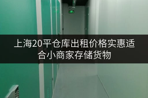 上海20平仓库出租价格实惠适合小商家存储货物 上海20平仓库出租价格实惠适合小商家存储货物