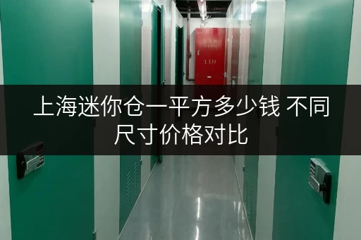 上海迷你仓一平方多少钱 不同尺寸价格对比