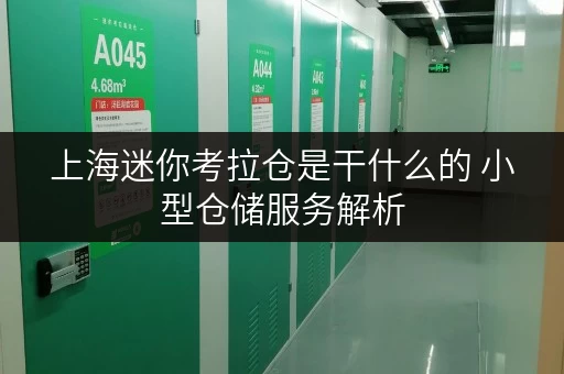 上海迷你考拉仓是干什么的 小型仓储服务解析 上海迷你考拉仓是干什么的 小型仓储服务解析