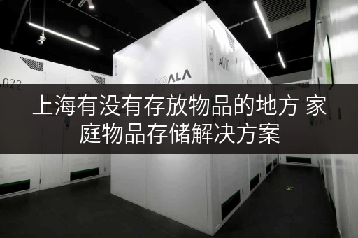 上海有没有存放物品的地方 家庭物品存储解决方案