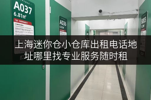 上海迷你仓小仓库出租电话地址哪里找专业服务随时租
