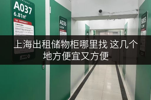 上海出租储物柜哪里找 这几个地方便宜又方便