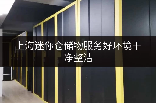上海迷你仓储物服务好环境干净整洁