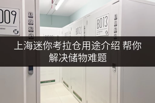 上海迷你考拉仓用途介绍 帮你解决储物难题