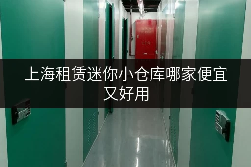 上海租赁迷你小仓库哪家便宜又好用