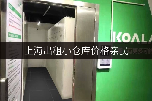 上海出租小仓库价格亲民，一人一仓安全又灵活