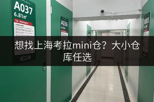 想找上海考拉mini仓？大小仓库任选，租期灵活价格实惠