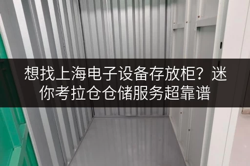 想找上海电子设备存放柜？迷你考拉仓仓储服务超靠谱