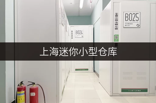 上海迷你小型仓库，提供一站式服务，解决你的存储大难题