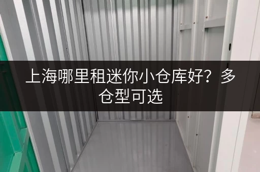 上海哪里租迷你小仓库好？多仓型可选，上门服务超贴心