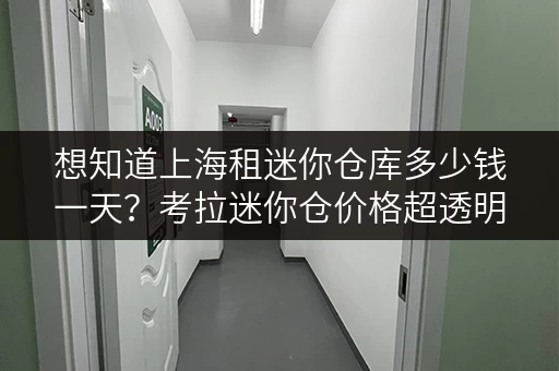 想知道上海租迷你仓库多少钱一天?考拉迷你仓价格超透明 想知道上海租迷你仓库多少钱一天?考拉迷你仓价格超透明