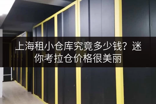 上海租小仓库究竟多少钱？迷你考拉仓价格很美丽