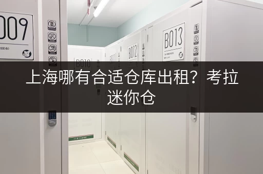 上海哪有合适仓库出租？考拉迷你仓，专人管理安全放心
